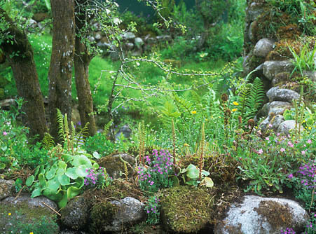 フラワーショウを見てきました Poke Poke